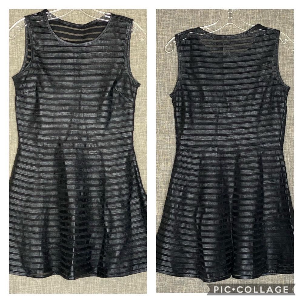 Parker Leather Stripe Skater Dress M